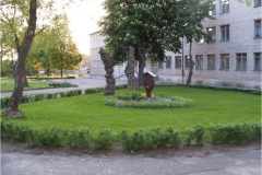 Living Environment